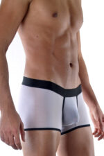 Deluxerie Heren Boxer Cairne 2