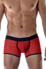 Deluxerie Heren Boxer Cajetan 4