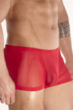 Deluxerie Heren Boxer Charlemagne 2