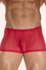 Deluxerie Heren Boxer Charlemagne 4