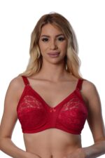 Deluxerie Minimizer Bh Shelly 2